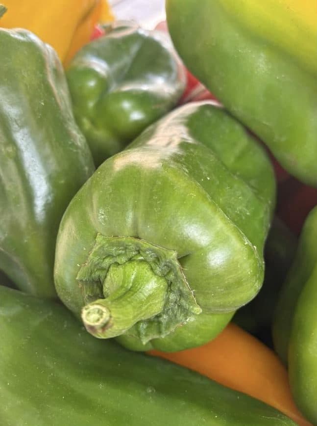 Poivrons verts